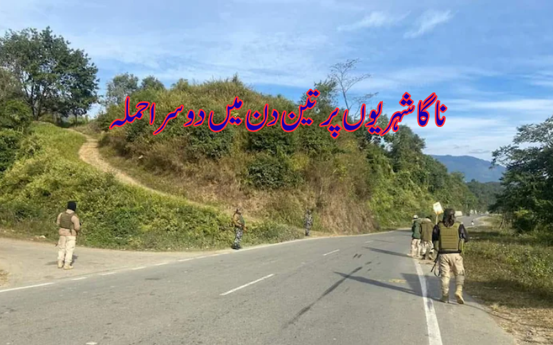 منی پور میں دو ناگا شہری ہلاک، دو زخمی