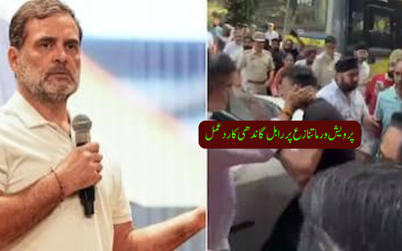پرویش ورما کے تھپڑ پر راہل گاندھی کی بی جے پی پر تنقید