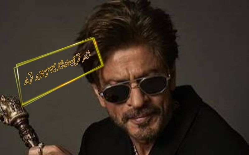 کروڑوں روپے کی کمی کے باوجود شاہ رخ خان 10,000 کروڑ روپے کی دولت کے ساتھ امیر ترین اداکار برقرار