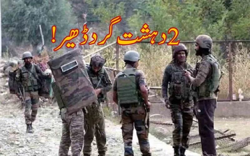 جموں و کشمیر کپواڑہ میں دراندازی کی کوشش ناکام، 2دہشت گرد مارے گئے
