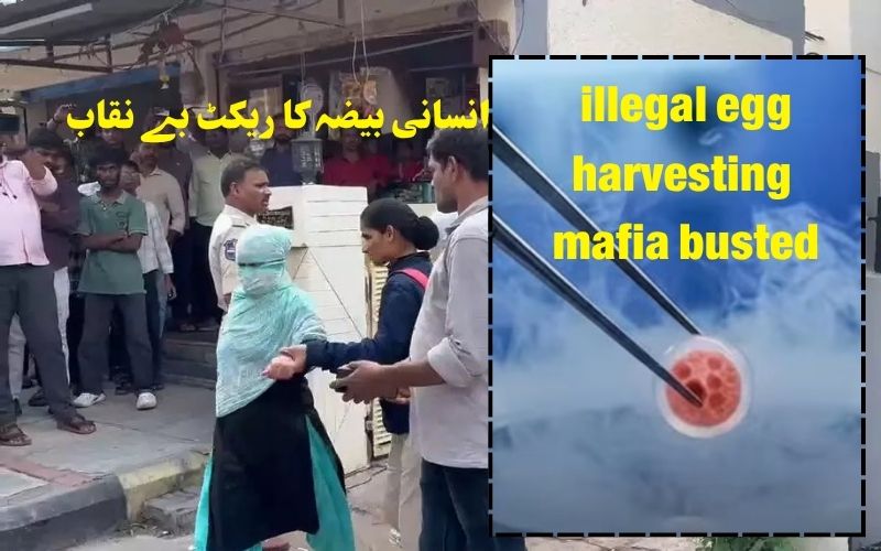 حیدرآباد میں غیرقانونی خواتین کے بیضہ جمع کرنے کا نیٹ ورک بے نقاب