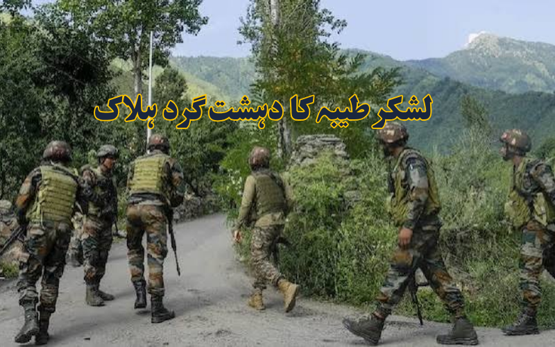 بڈگام جھڑپ میں لشکرِ طیبہ کا اہم دہشت گرد ہلاک