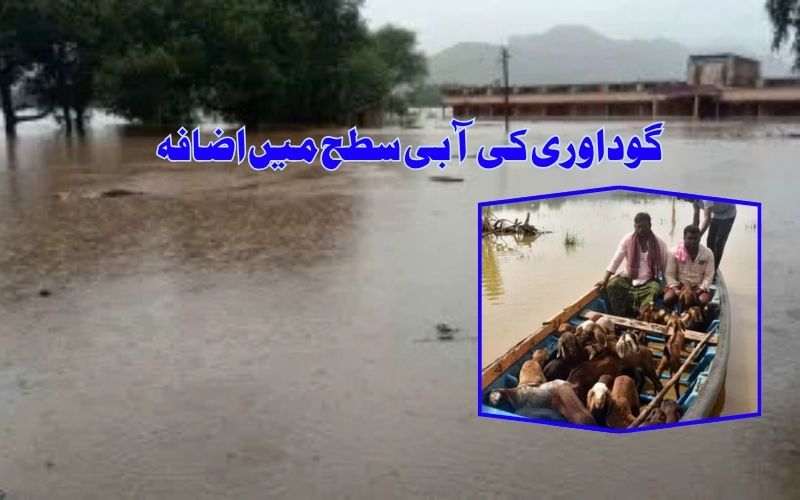  بھدراچلم میں شدید بارش کے بعد دریائے گوداوری کی آبی سطح میں اضافہ 
