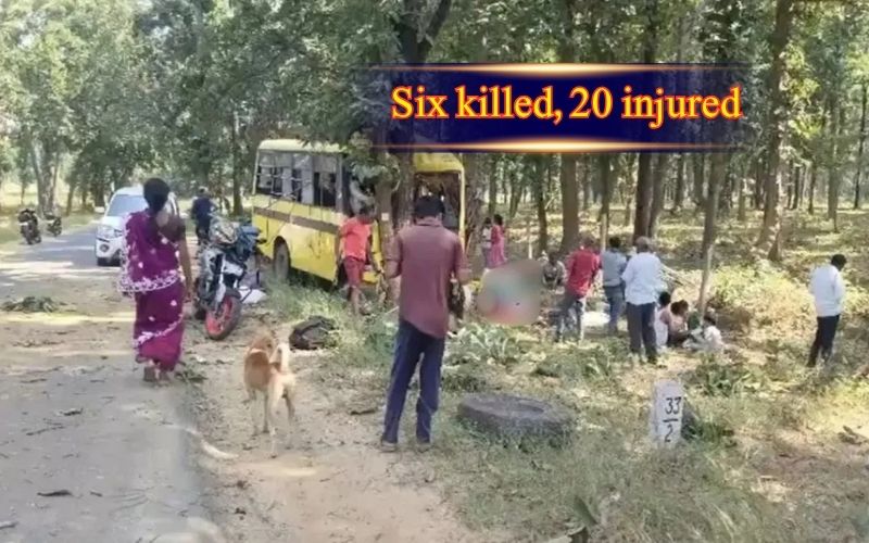 چھتیس گڑھ: بس درخت سے ٹکرا گئی، 6 افراد ہلاک، 39 زخمی