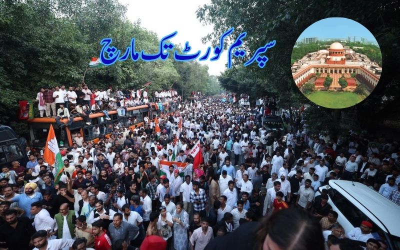 راہل گاندھی اور دیگر 10 لیڈروں نے ایس آئی آر میں بے ضابطگیوں پر سپریم کورٹ میں دائر کی عرضی